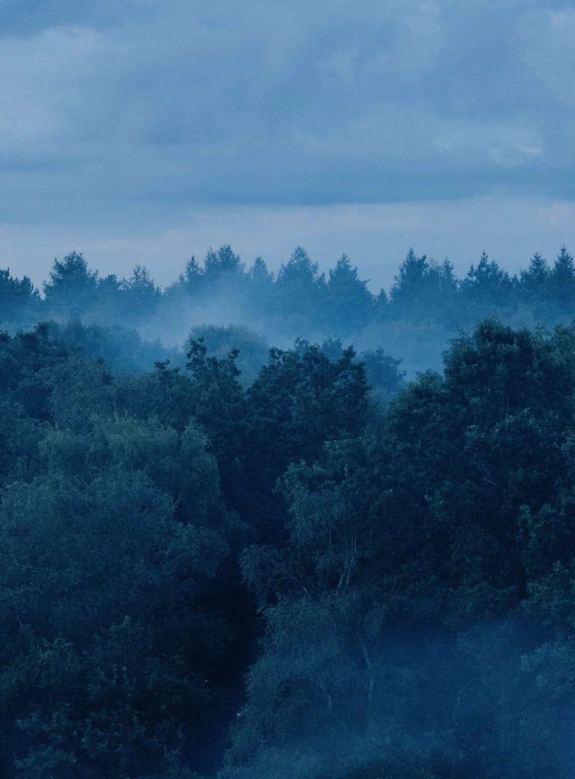 A photograph of a smoky forest landscape at Lost Village.