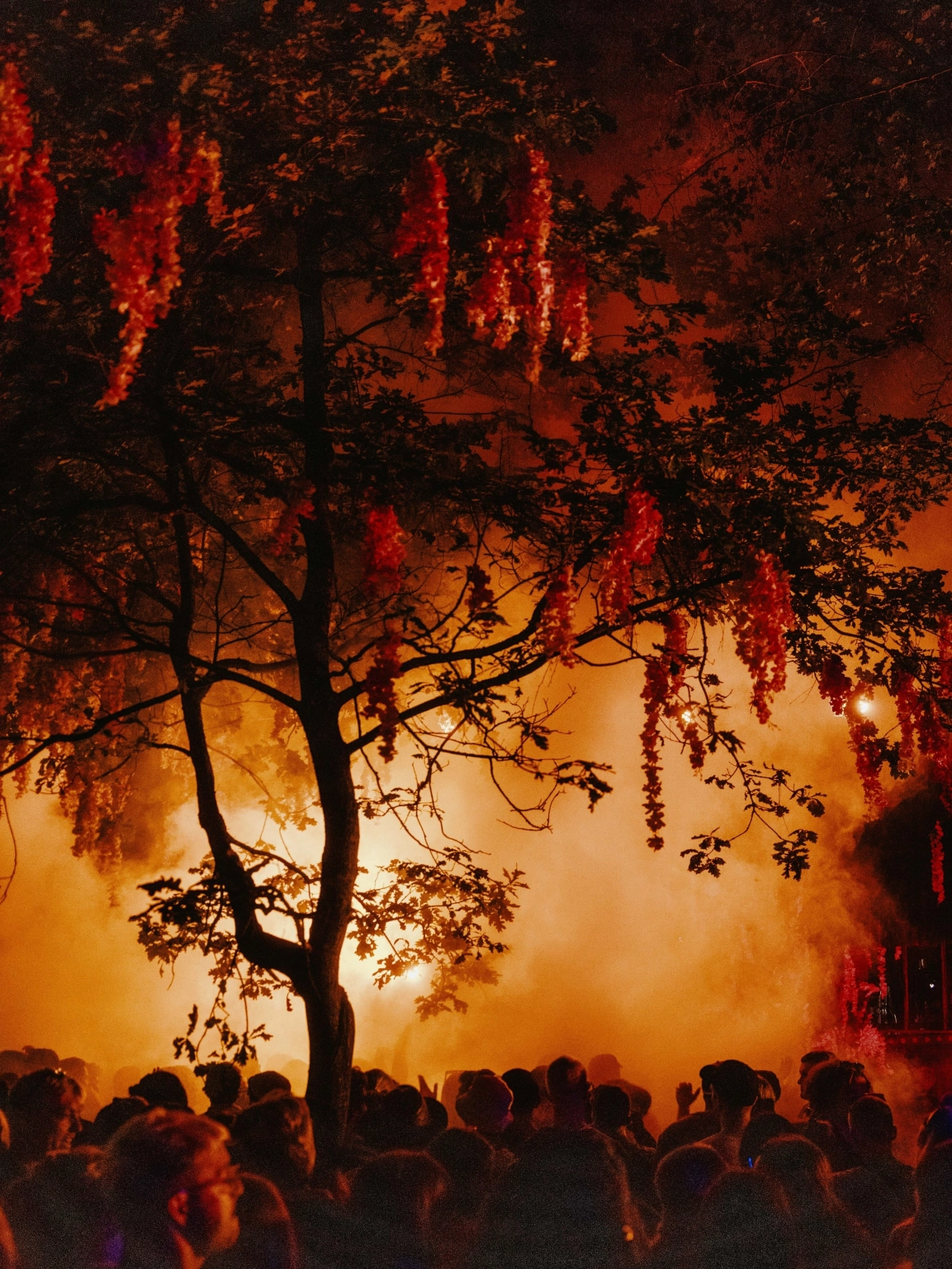 A photograph of a fog-filled forest of festival goers at Lost Village.